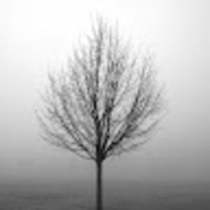 Meet your Posher, Kt